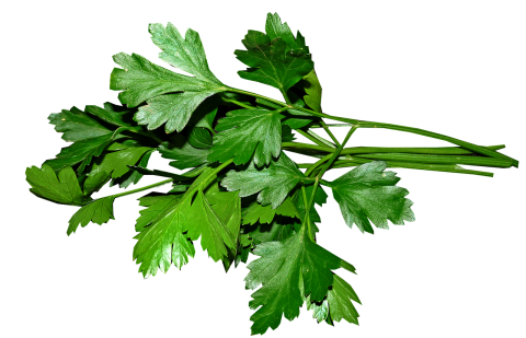 parsley parsley